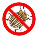 Защита от колорадского жука